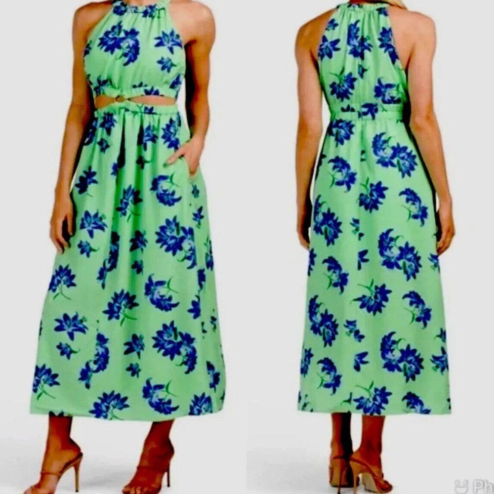 Likely NWT SZ O Karrica Green and Blue Floral  midi/‎ maxi Dress